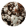 Cotton
